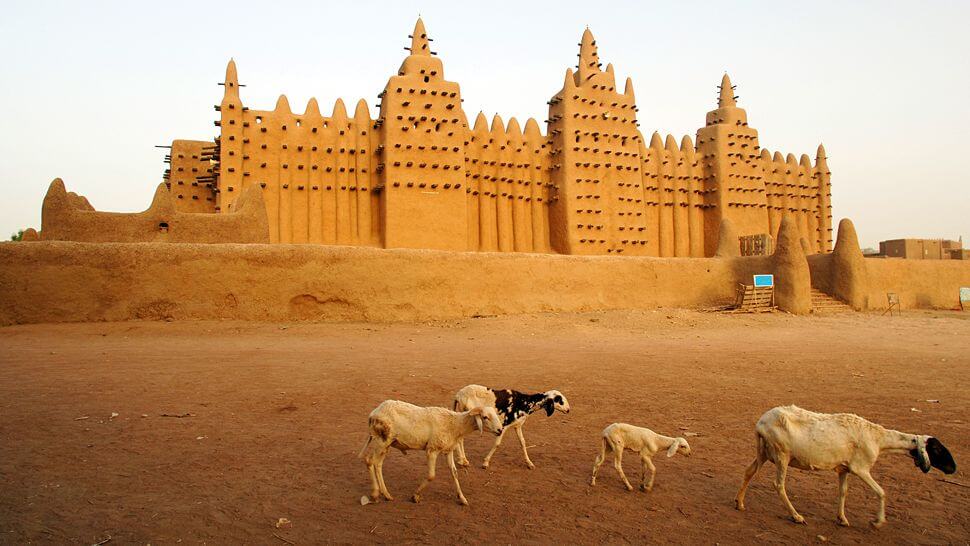 Timbuktu Sheep