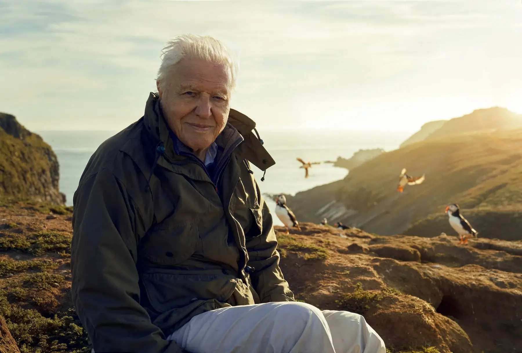 The Life and Legacy of Sir David Attenborough