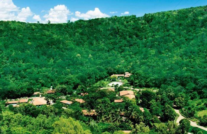 Reforestation Project