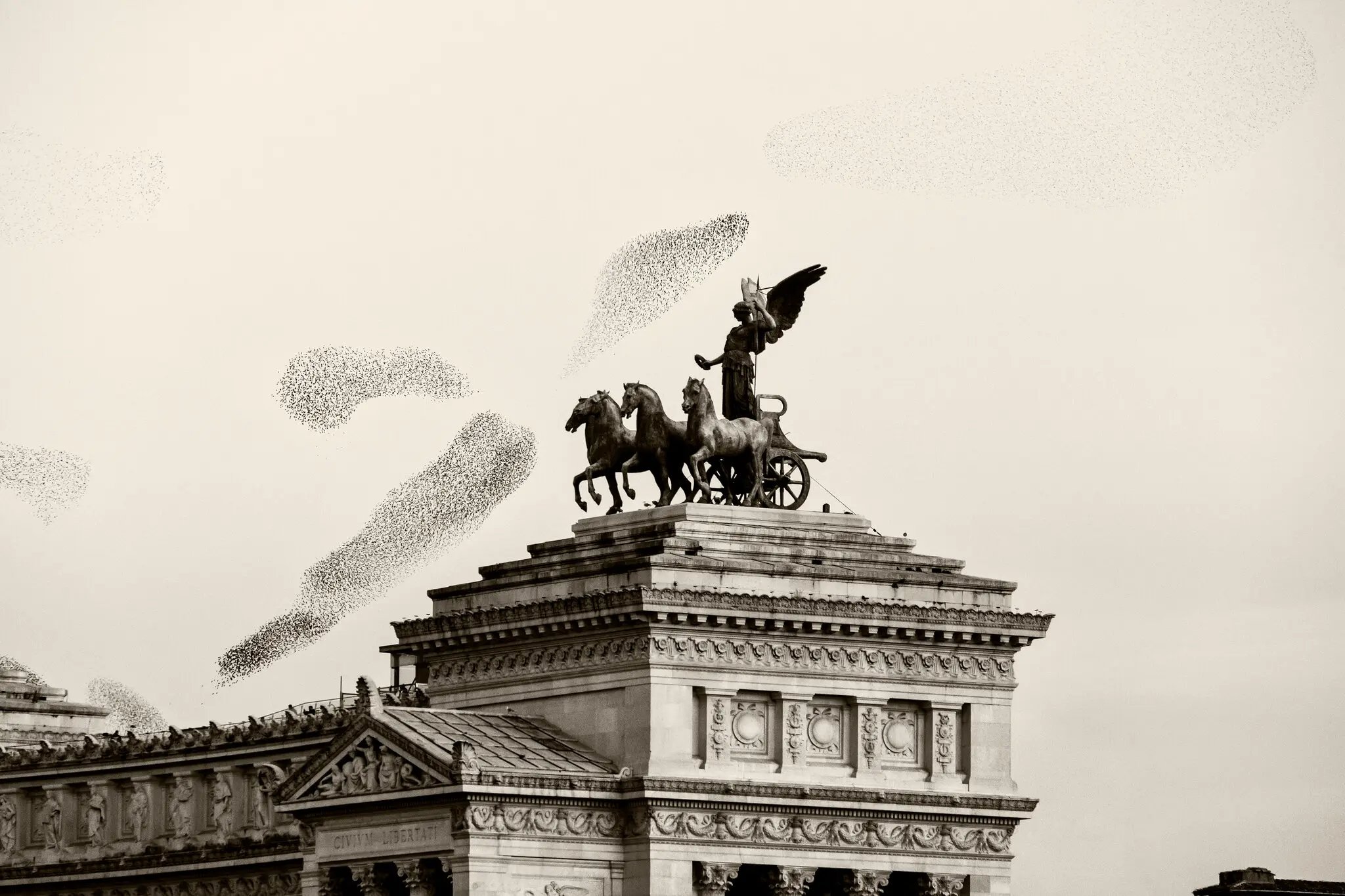 Starlings in the skies about the Victor Emmanuel II National Monument in Rome.