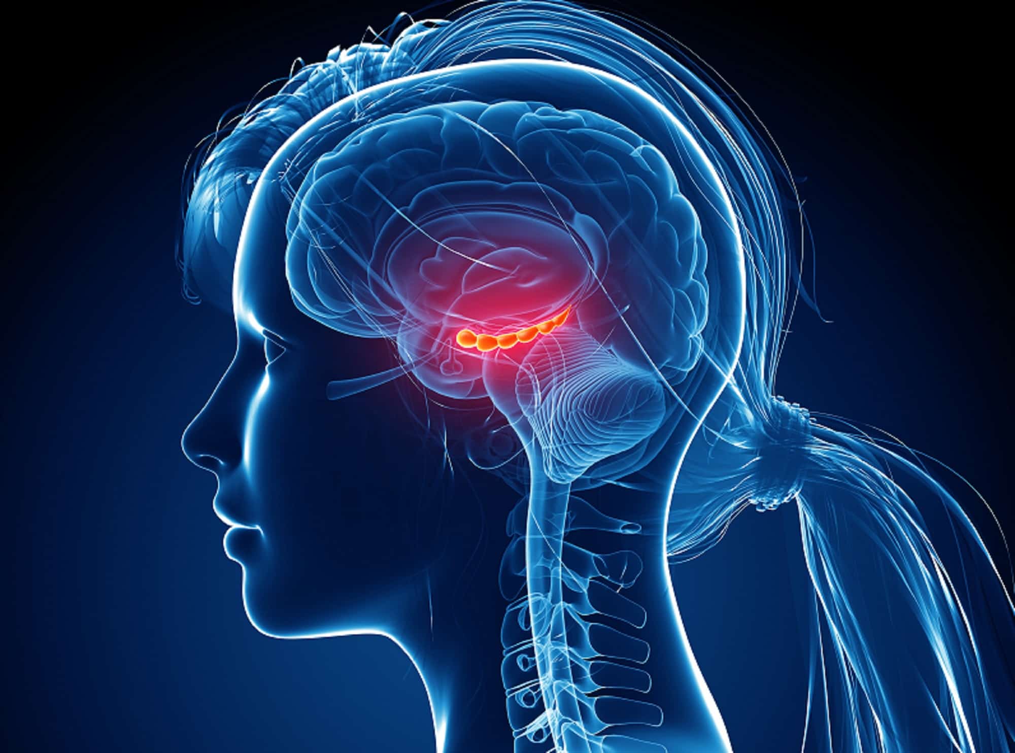 Brain memory
