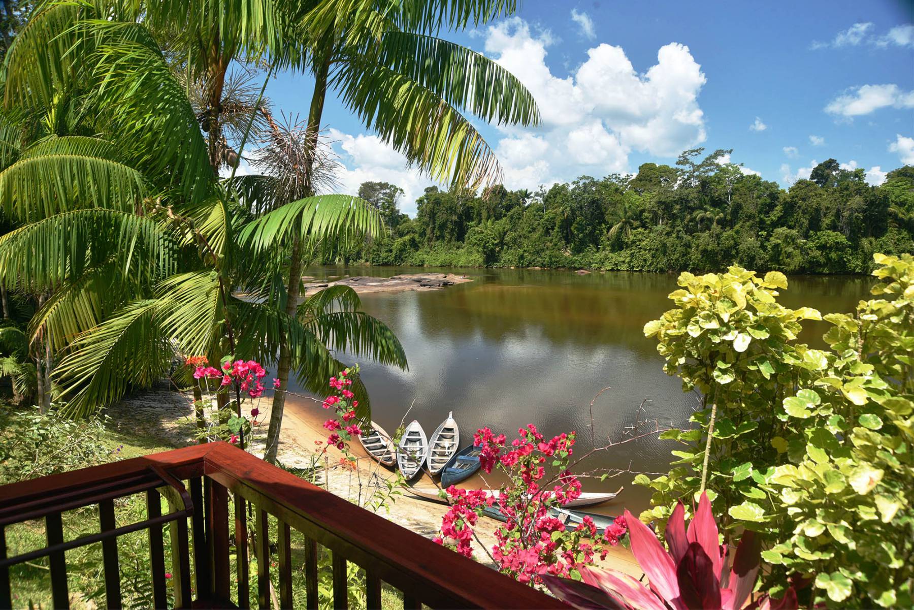 Suriname is near